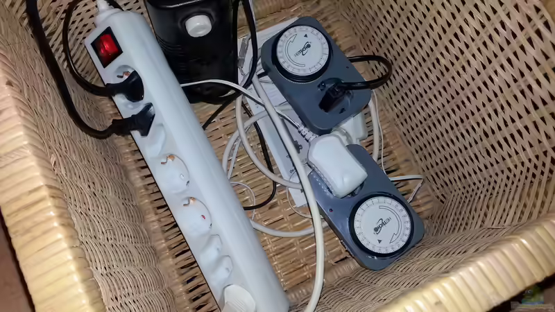 ´Technik´ Zeitschaltuhren für die Tag- und Nachtbeleutung von junger Aquarianer (46)