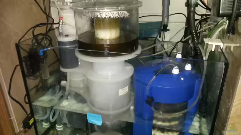 Technikbecken, Abschäumer und Nitratreduktor von Truthahnmann (12)