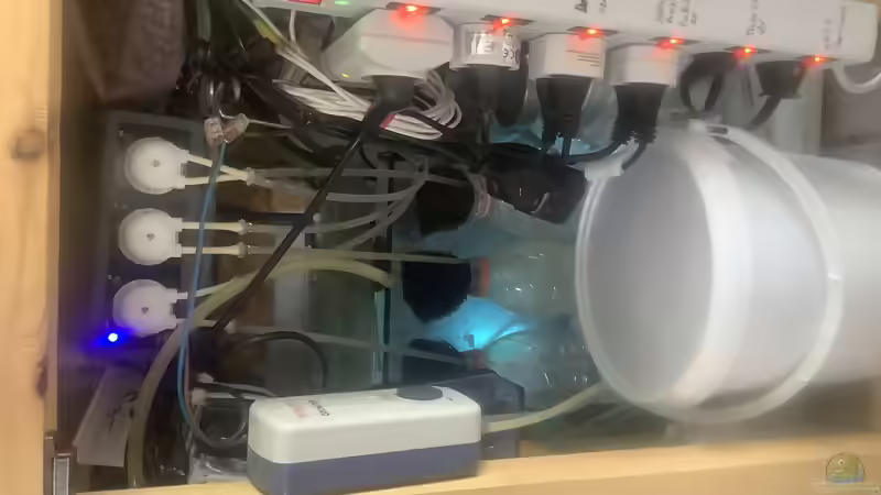 Technikbecken  von Diver (13)