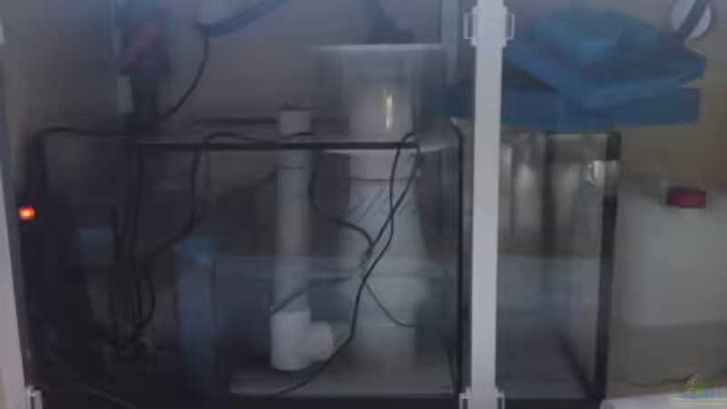 Technikbecken  von Klaus M. (16)