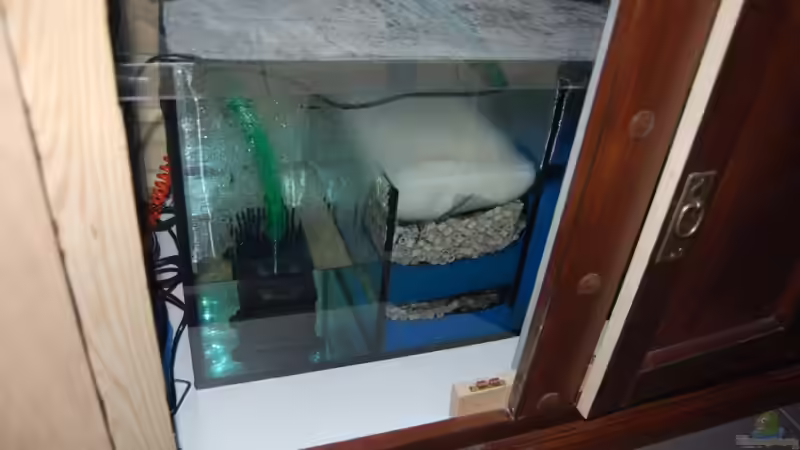 Technikbecken 80l von Claus Becker (14)