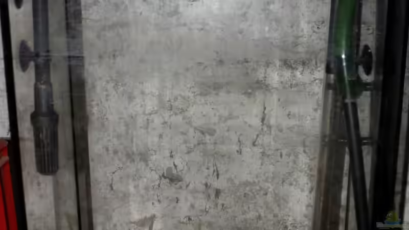 technikbecken mit den Ein/Ausläufen und dem Heizer und Torfschicht am Boden von Falk (26)