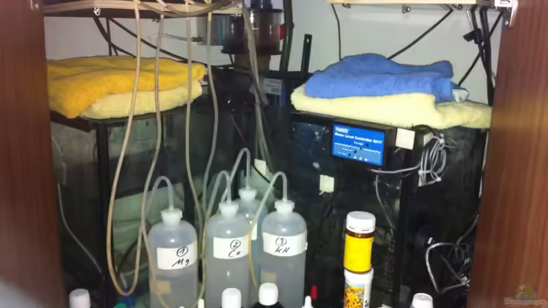 Technikbecken von Andreas Stiller (71)