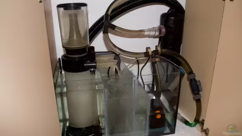 Technikbecken von Azalee (16)