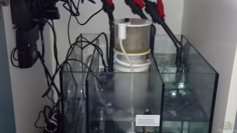 Technikbecken von chR576 (2)