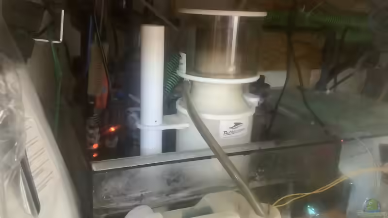 Technikbecken von Diver (12)