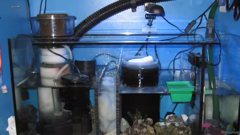 Technikbecken von Roland Kaltschitz (13)