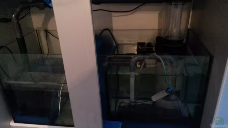 Technikbecken von Wiege (24)