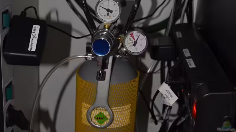 Technikbereich im Unterschrank mit 2kg Co2  von Gallius (27)