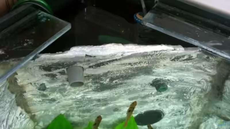 Technikecke, mit den 2 Ausströmern u 2 der insg. 5 Einlässe von Jörg Schneider (16)