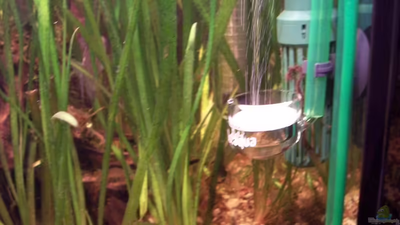 Technikecke von Jens J. (24)