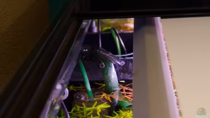 Technikkanal links - 02.11.2013 von GoreSlayer (26)