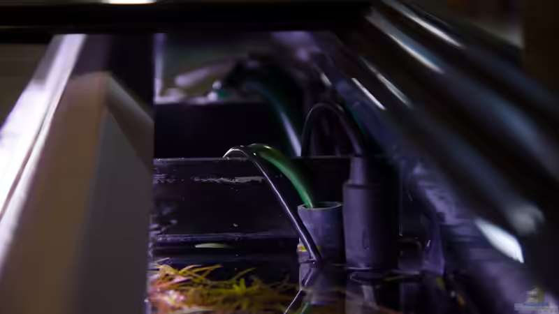 Technikkanal rechts - 02.11.2013 von Koelle-Zoo (25)