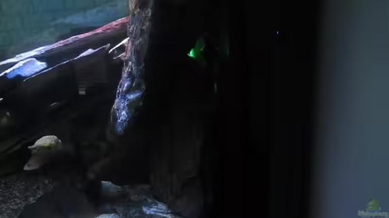 Technikschacht von Dunzi (6)