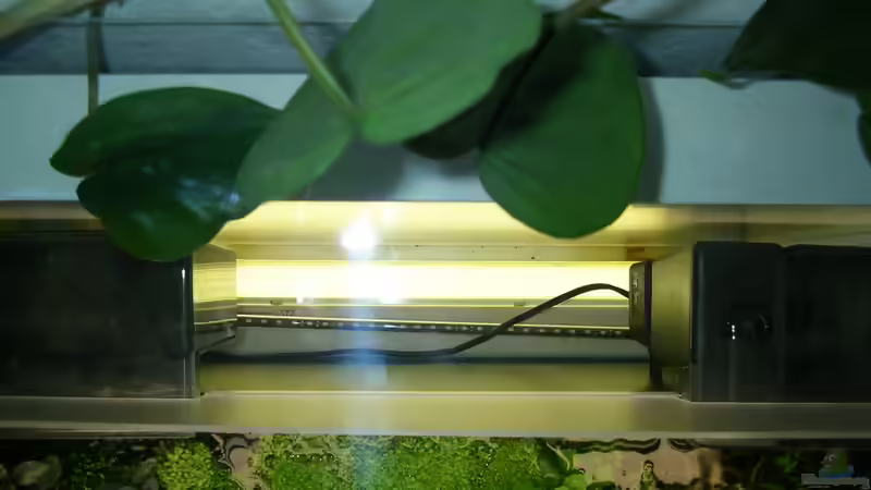 Technikschacht von Fredo Fuss (31)