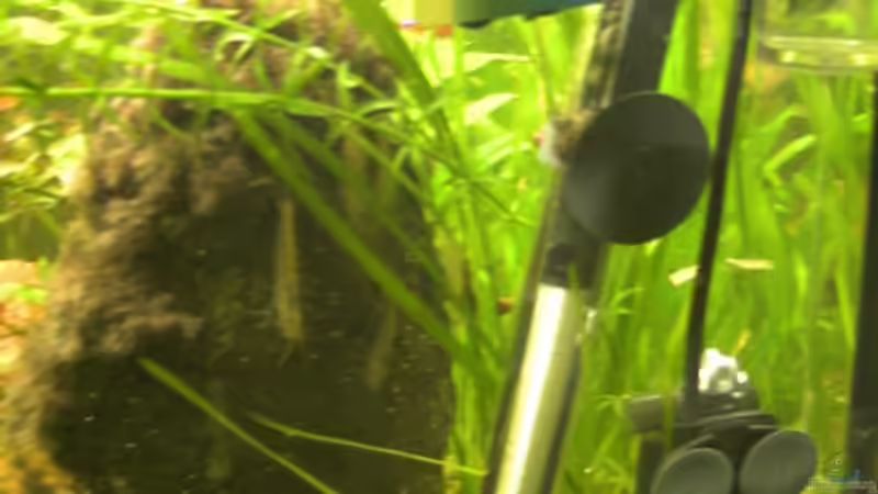 Technikseite im Aquarium von MarcelS (9)