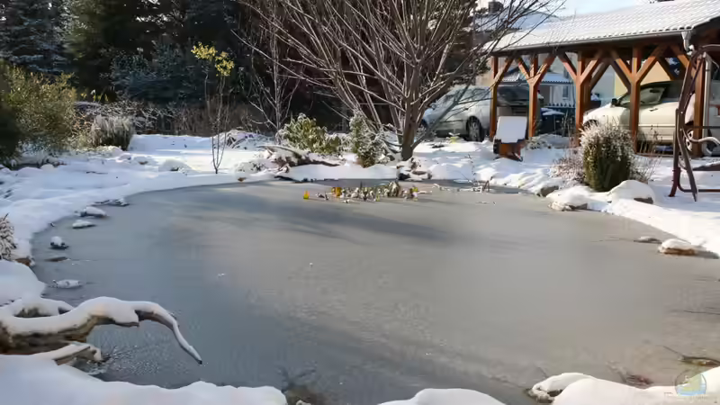 Teich 23.11.2008 von Susanne Axt (8)