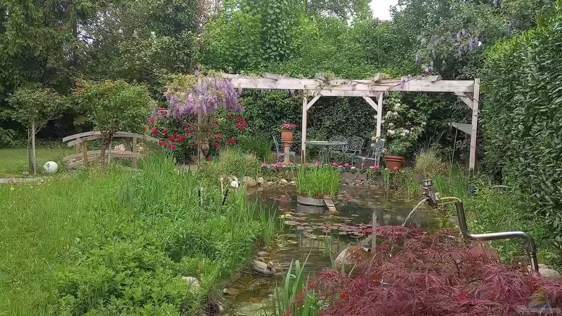 Teich Acero Gartenteich von Acero (4)