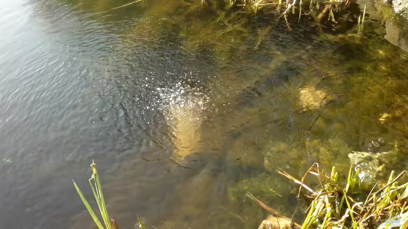 Teich &quot;Neulich im Ruhrpott....&quot; von Sambia (3)