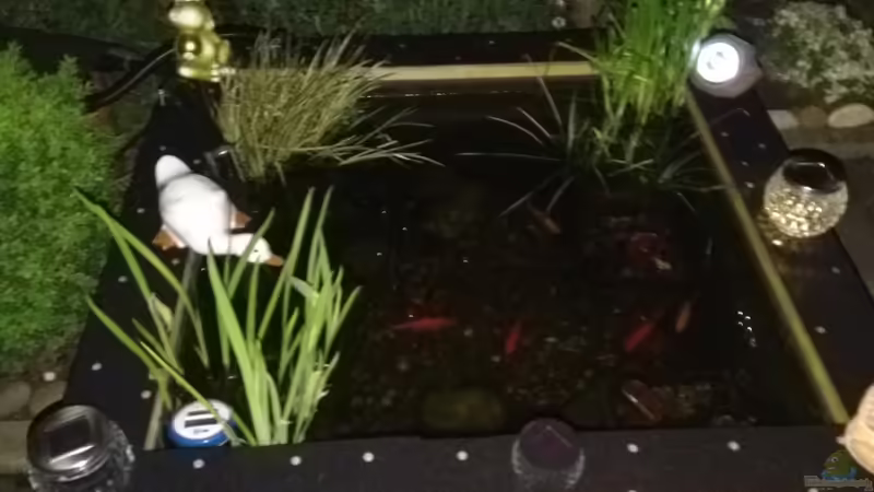 Teich bei Nacht von HOTU (4)