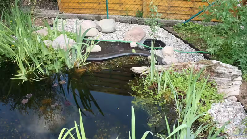 Teich ca.3000l im Mai 2009 von Susanne Axt (9)