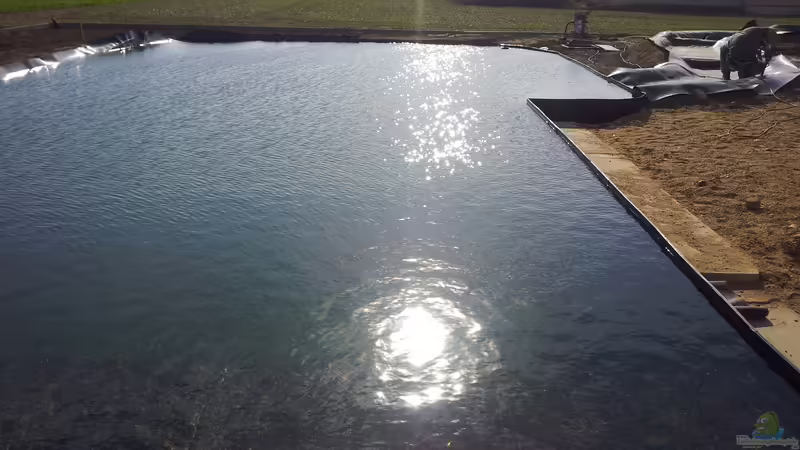 Teich gefüllt von Martinerft (2)