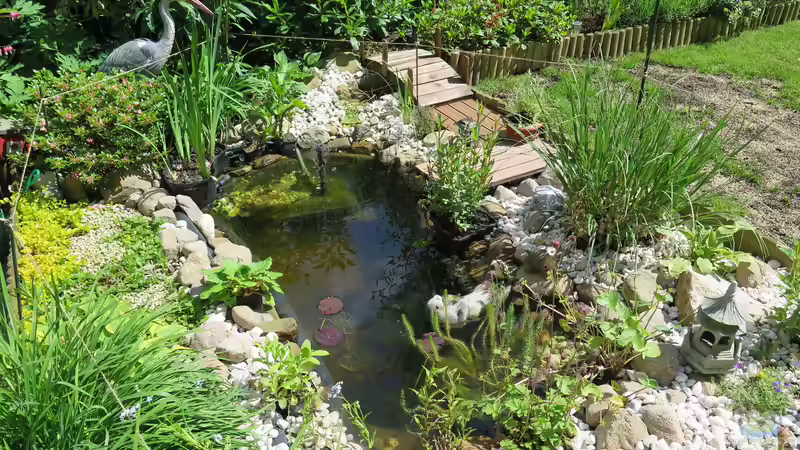 Teich Hauptansicht von Gartenteich AL-KO T 600