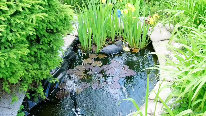 Teich Hauptansicht von mein kleiner Gartenteich von odin 68 (1)
