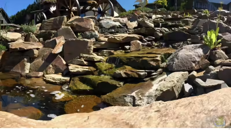 Teich Hauptansicht von Natursteinbachlauf von Traum-Hobby.de (1)