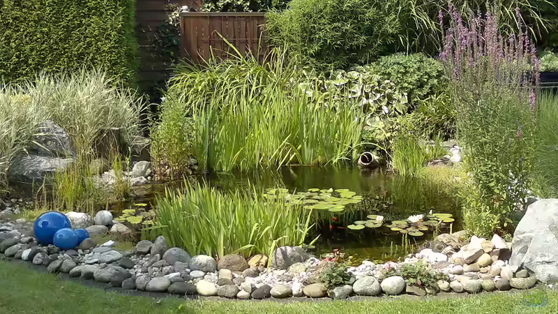 Teich Hauptansicht von "Neulich im Ruhrpott...."