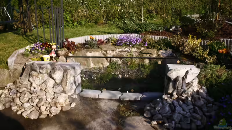 Teich Hauptansicht von Projekt Guck in den Teich