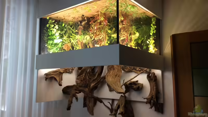 Teich Hauptansicht von Wohnzimmerteich