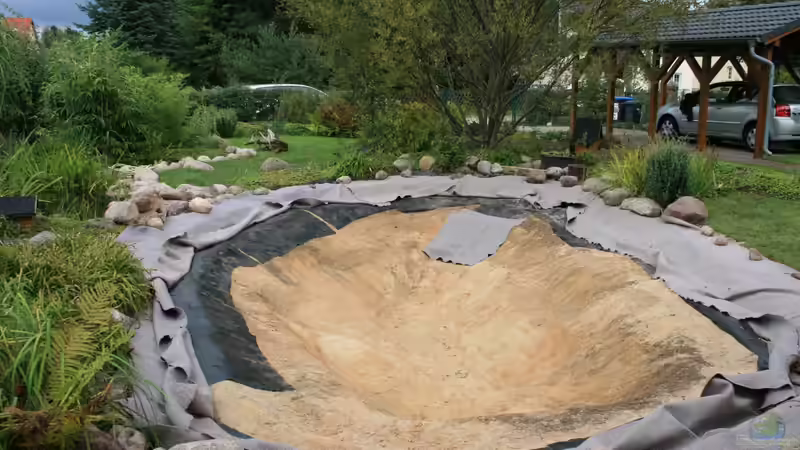 Teich im Bau 29.08.2008 von Susanne Axt (2)