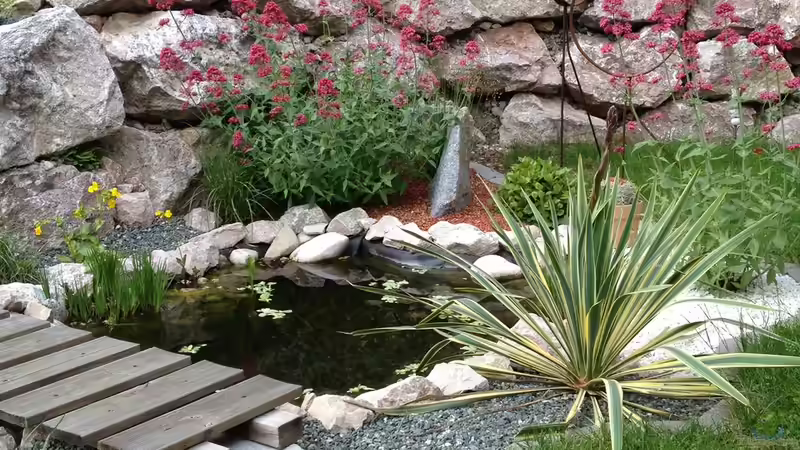 Teich Mein Bachlauf mit Teich von Thomas S-H (2)