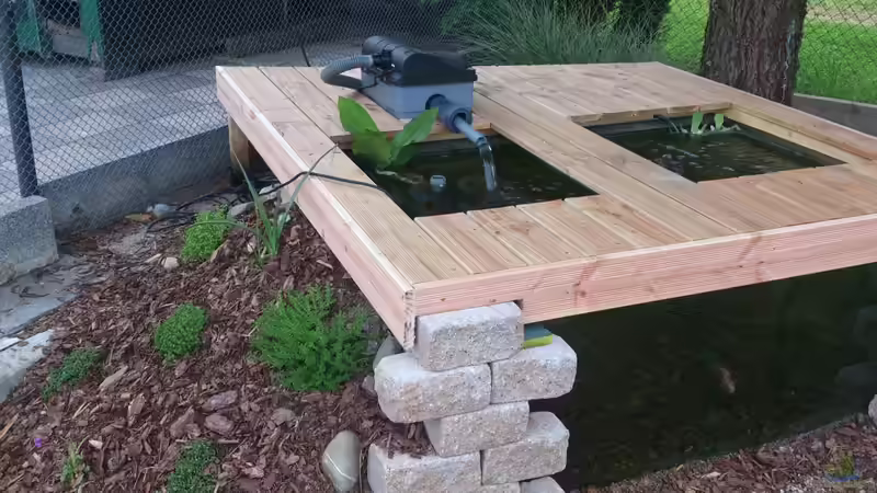 Teich Teich 26604 von Thomas38 (5)