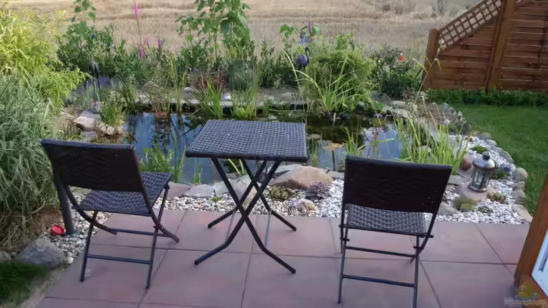 Teich Teich 28514 von JOHN (9)