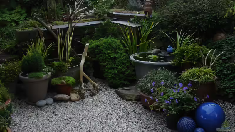 Teich Teich 30736 - Gartenteichlein von Grünhexe (10)