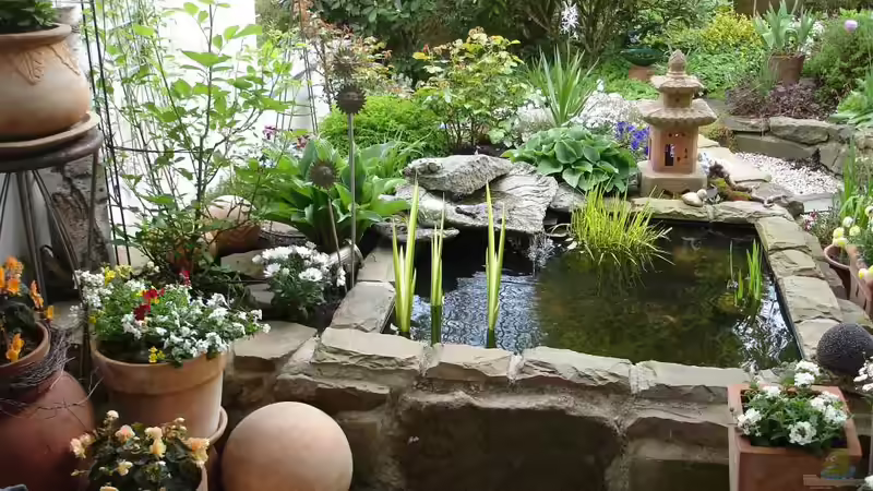 Teich Teich 30736 - Gartenteichlein von Grünhexe (15)