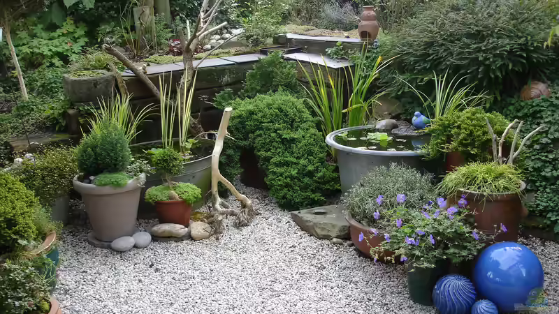 Teich Teich 30736 - Gartenteichlein von Grünhexe (8)