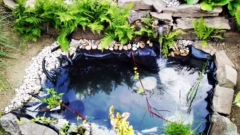 Teichansicht von Vorne, mit Sicht auf den Bachlauf von David Schneider Aquaristik (2)