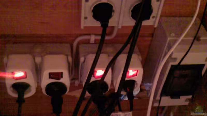 Teichelektrik mit eigenem Sicherungskasten von Sambia (49)