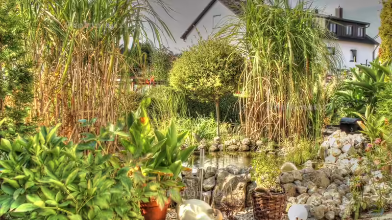 Teichfoto in HDR Qualität  von Sergio10 (1)