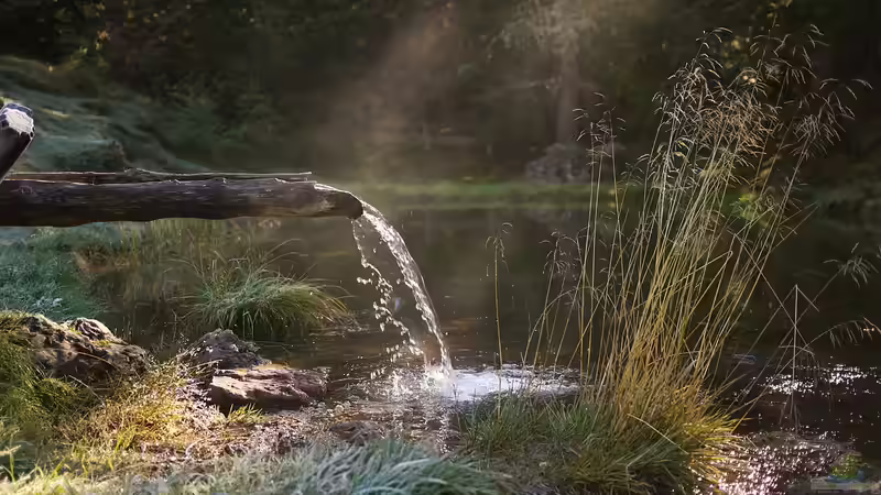 Teichpflege: Rückschnitt von Unterwasserpflanzen