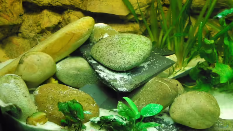 Teichsteine mit den Schieferplatten kombiniert von schwiizerfisch93 (10)