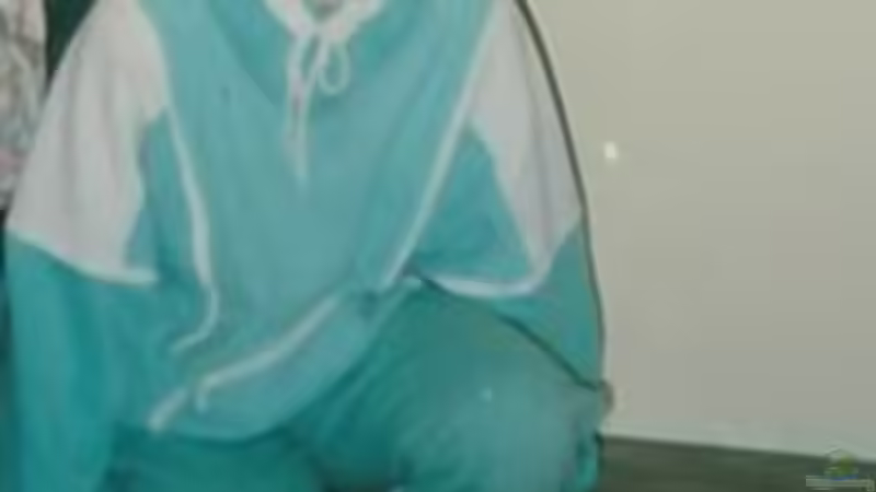 Teil 1 Aquaristik von Anfang an - meine Erfahrungen in 30 Jahren