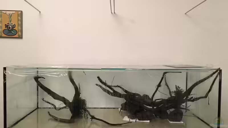 Teil 1 des Hardscapes von Torsten Franke (3)