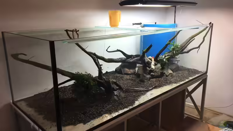 Teil 2 des Hardscapes von Torsten Franke (4)