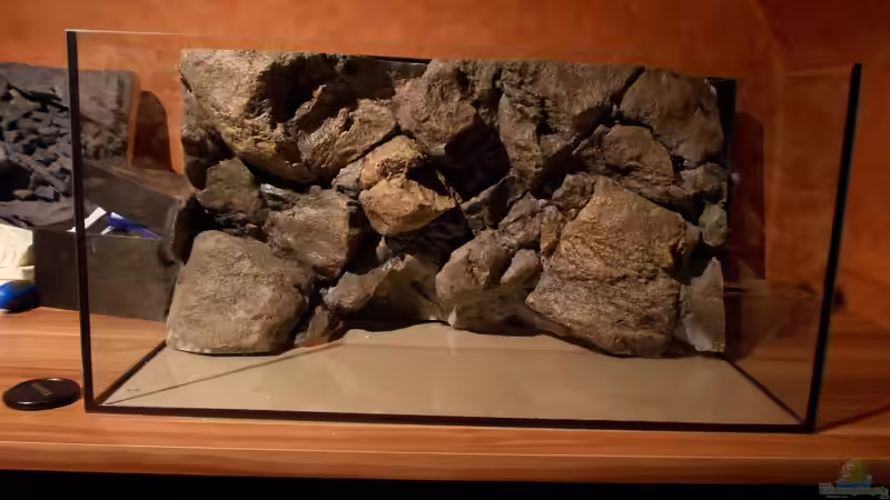 Teilabnschnitt aus der Komodo von Rockzolid von Koehler (7)