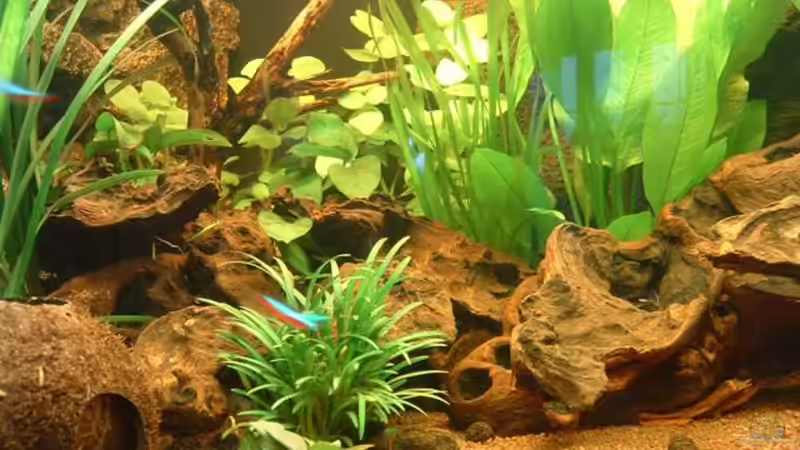 Teilansicht 1 von Irina Rink (8)