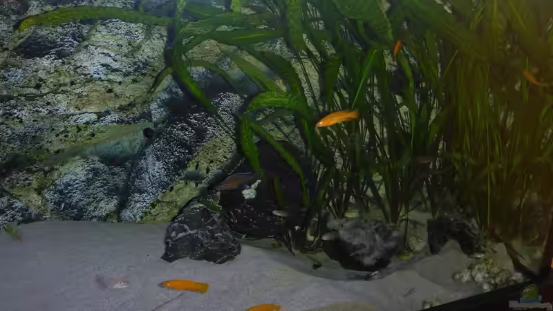 Teilansicht 2.1.2016 von spriggina (6)